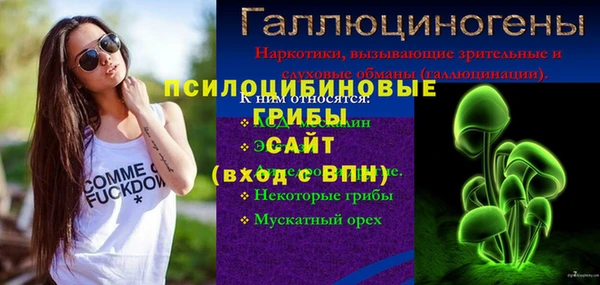 ПСИЛОЦИБИНОВЫЕ ГРИБЫ Бородино